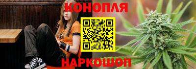 прущие крисы Малгобек