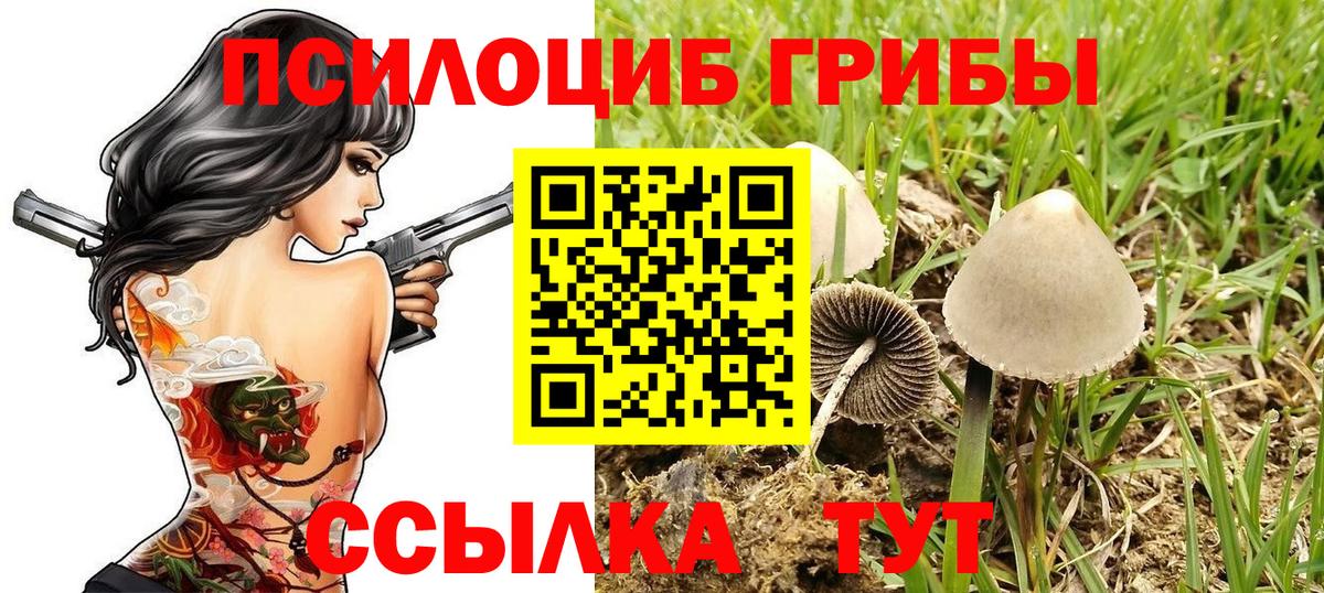 Псилоцибиновые грибы MAGIC MUSHROOMS Заводоуковск
